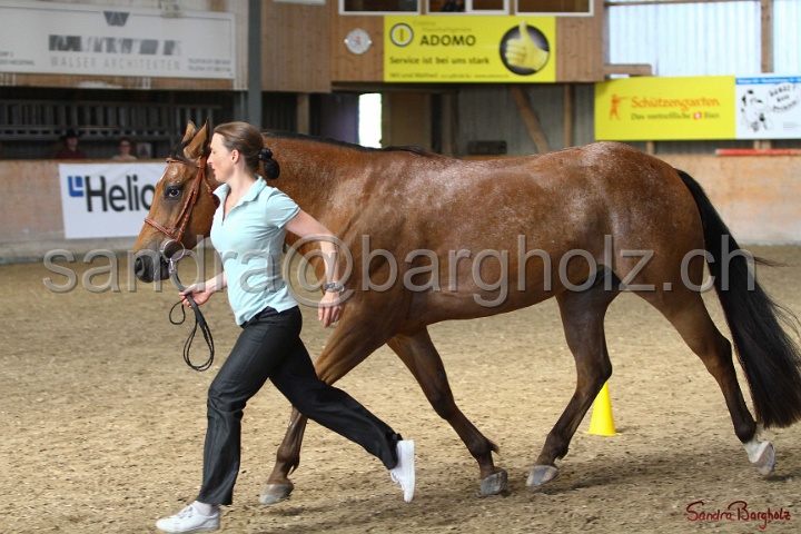 24-ApHC HIH_131.jpg